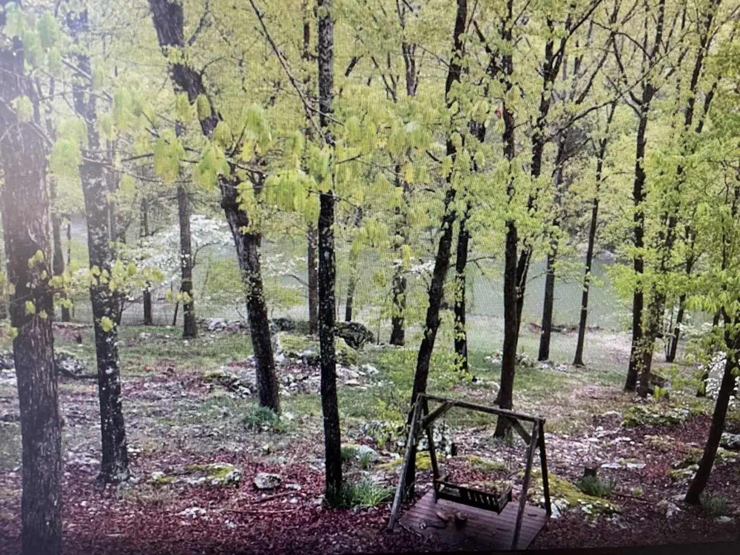 A fence in the middle of a forest with trees.