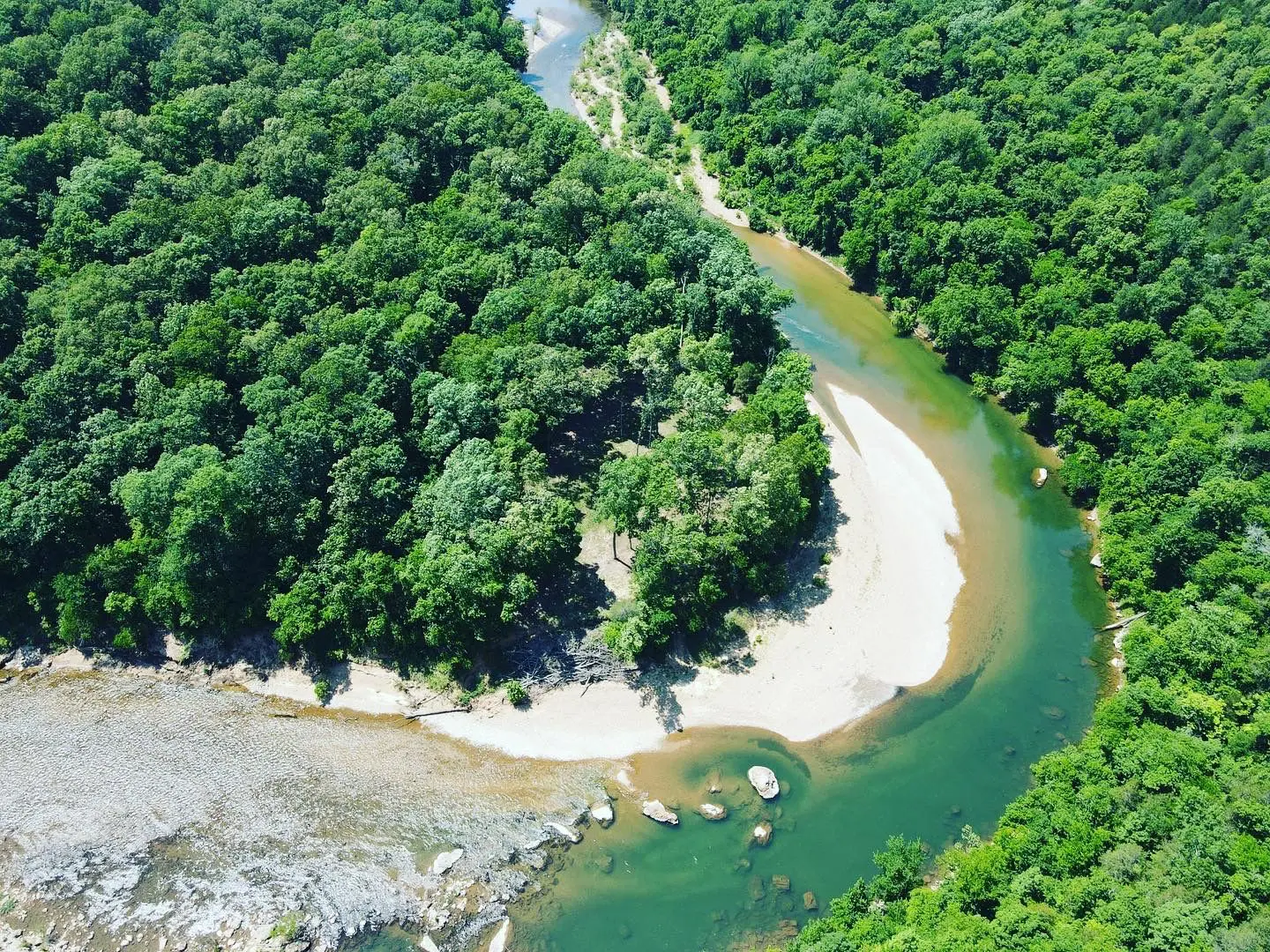 A river running through the middle of a forest.