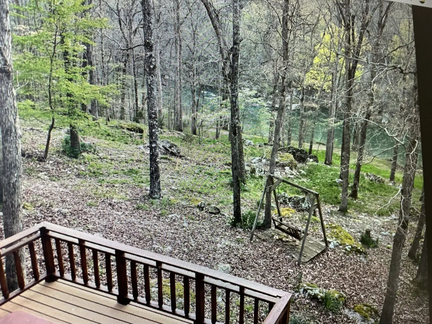 A view of trees and a deck from the back yard.