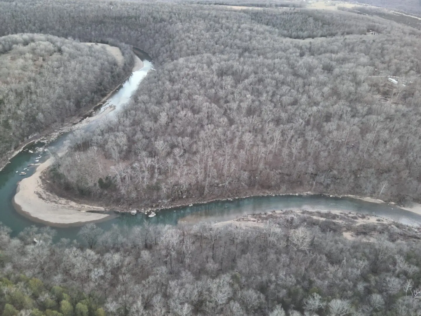 A river running through the middle of a forest.