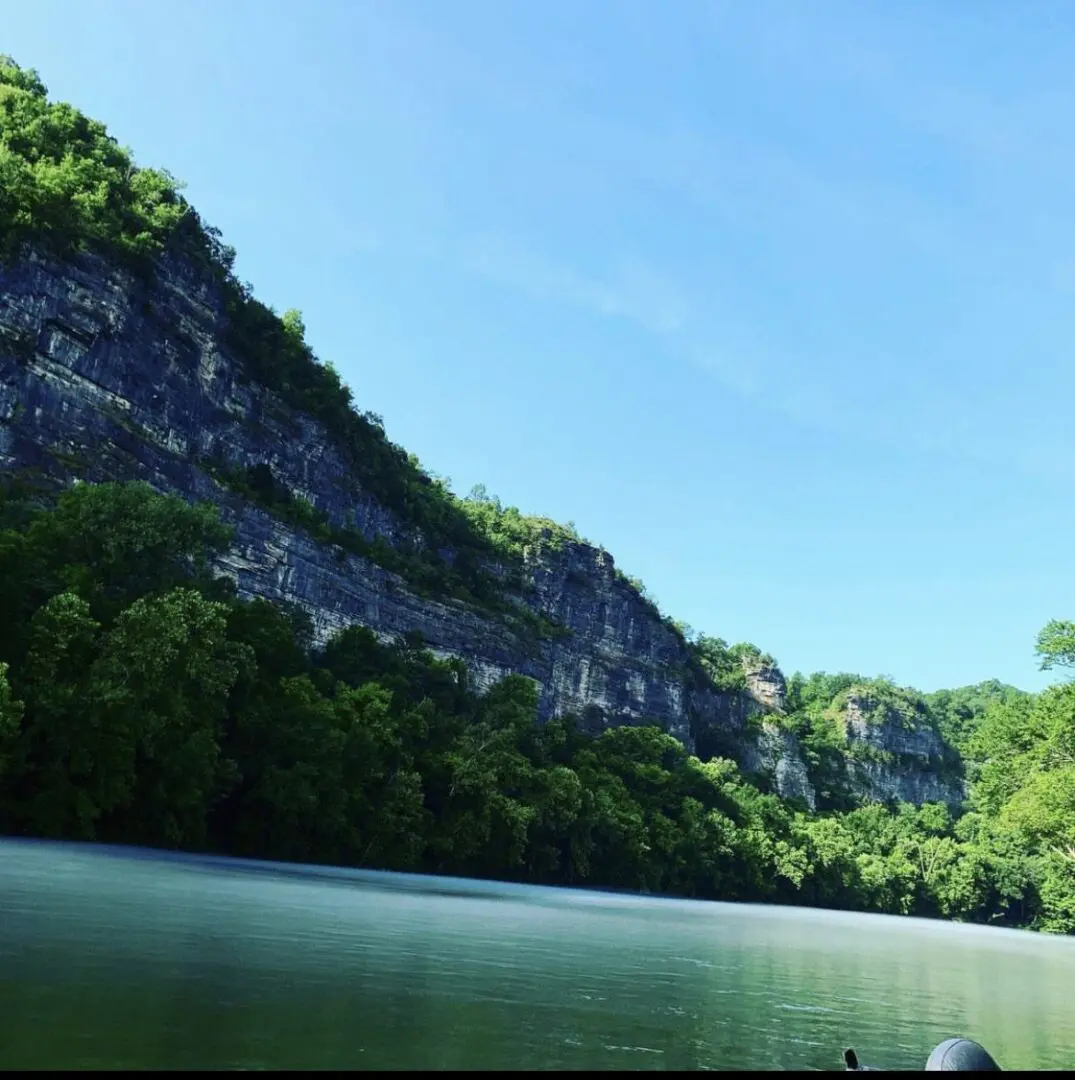 A body of water with trees and mountains in the background.