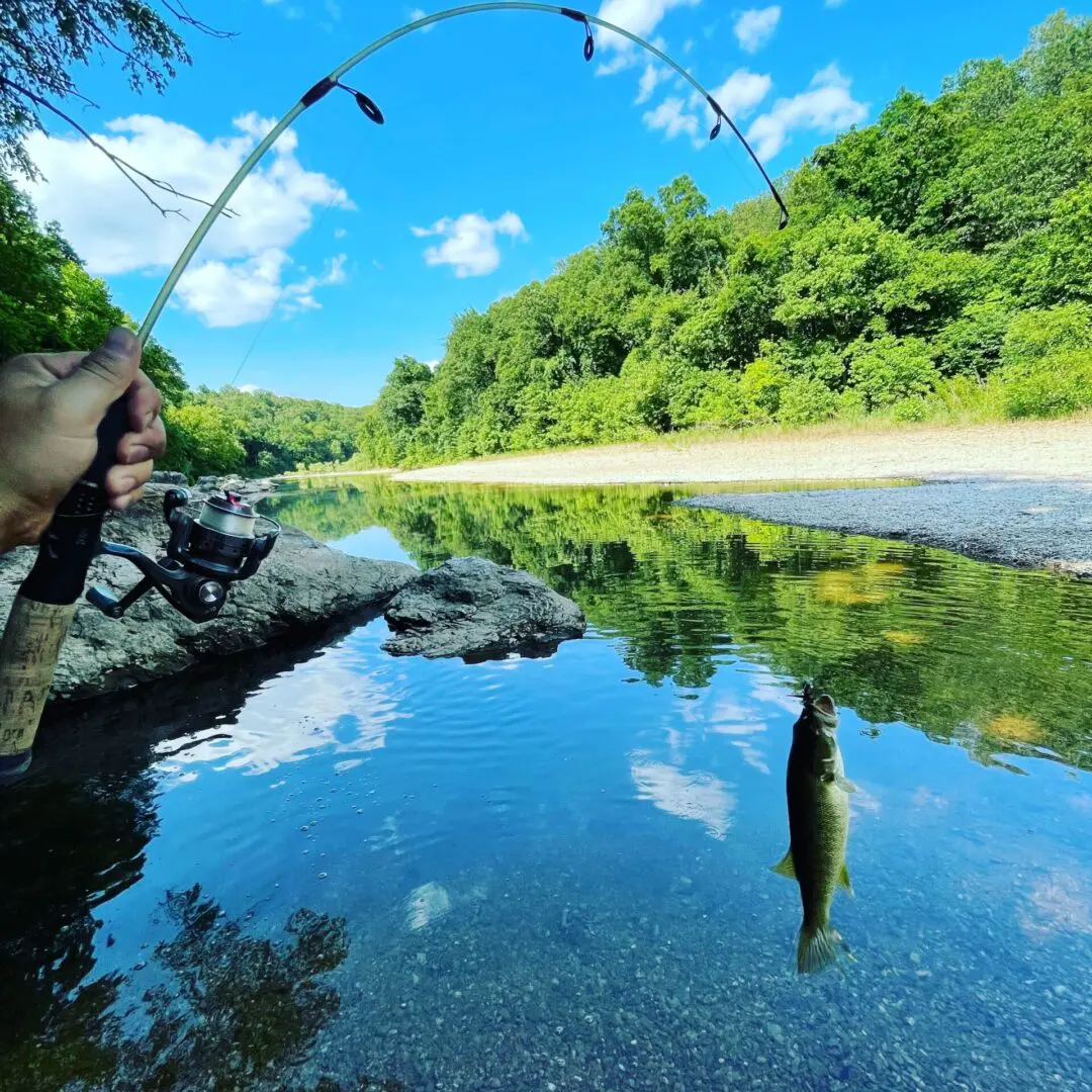 A fish is swimming in the water while someone fishing.