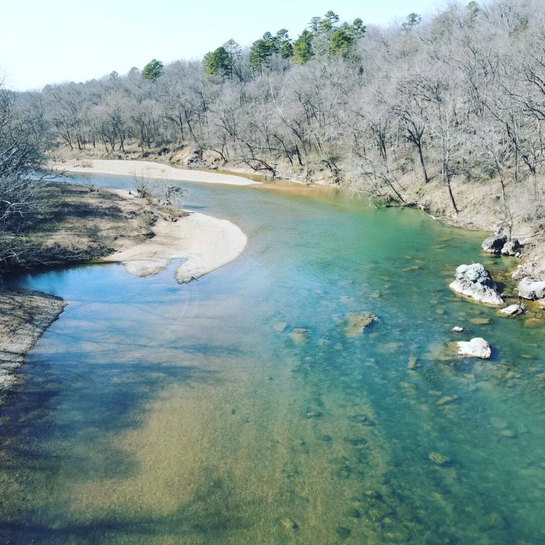 A river with trees in the background and some water