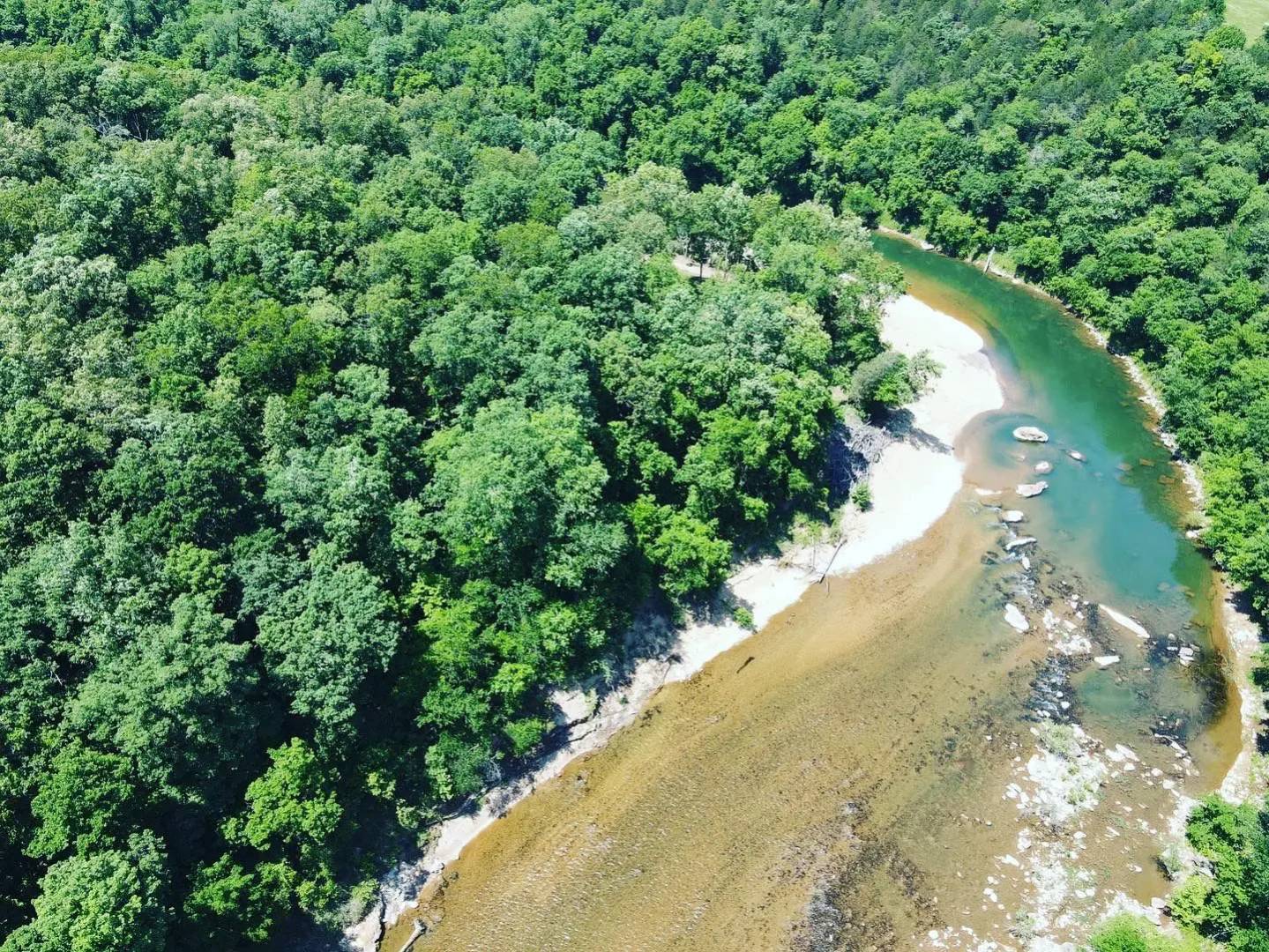 A river running through the middle of a forest.