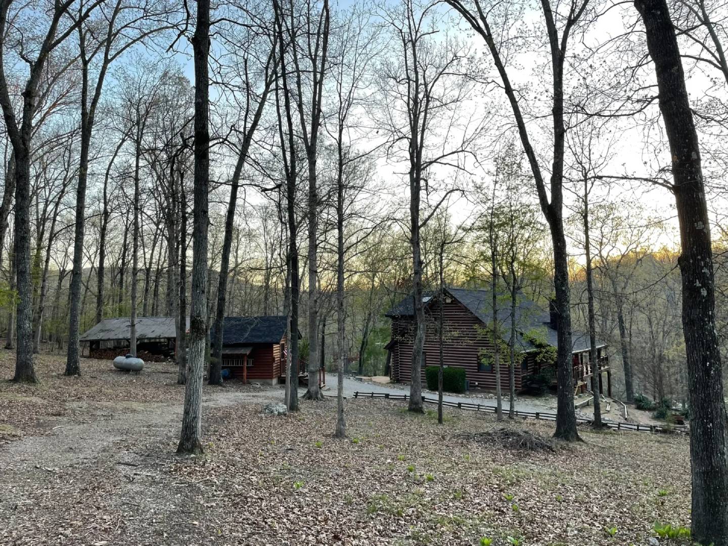 A house in the woods with trees around it